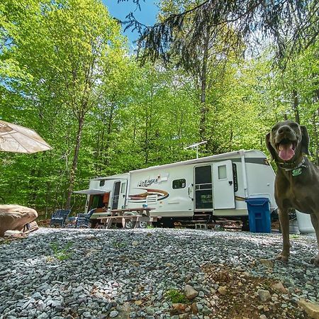 Rv Adventure Roscoe Pet Friendly Hotell Exteriör bild